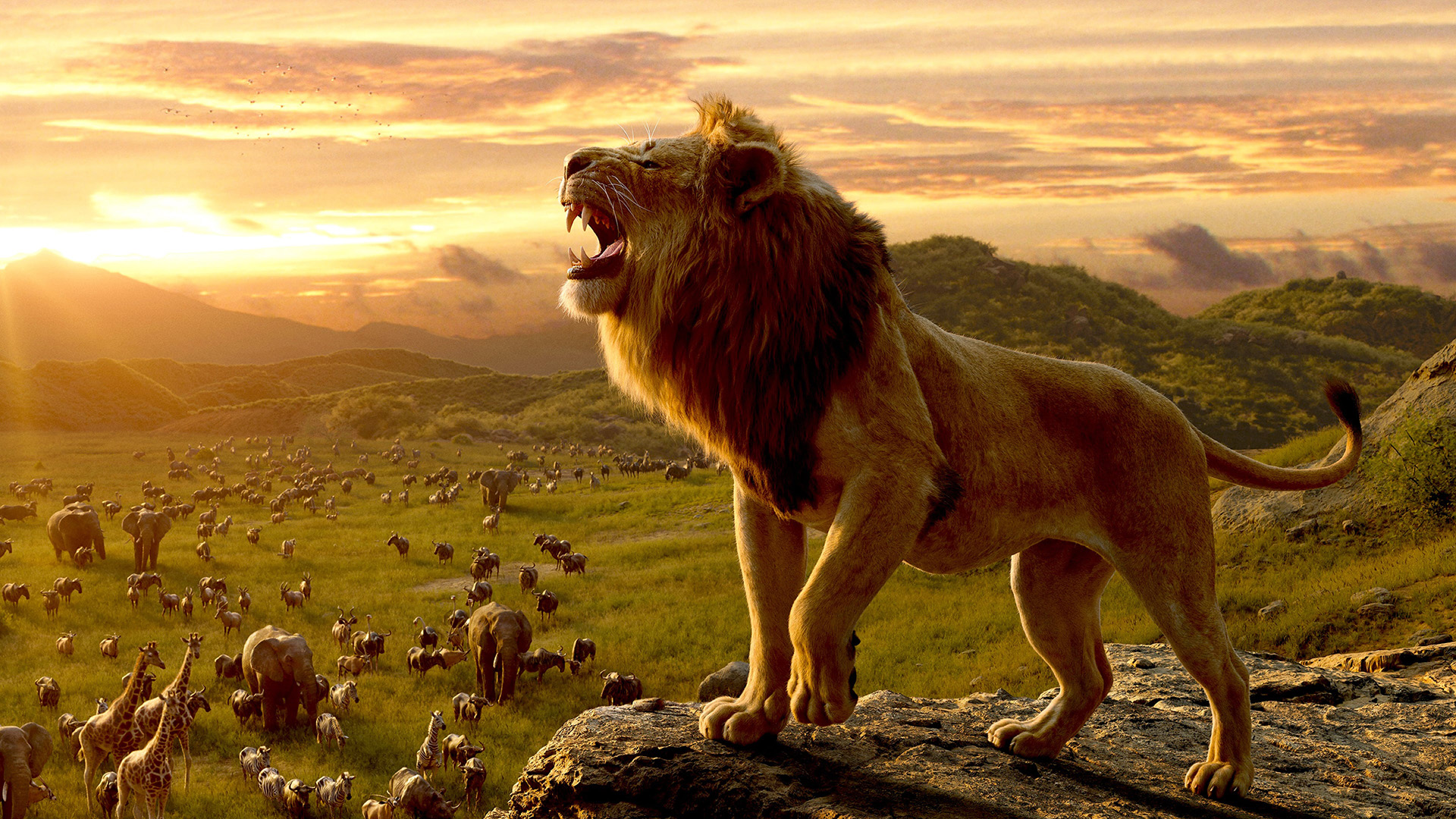 Disney verslaat zichzelf wederom: The Lion King breekt ...