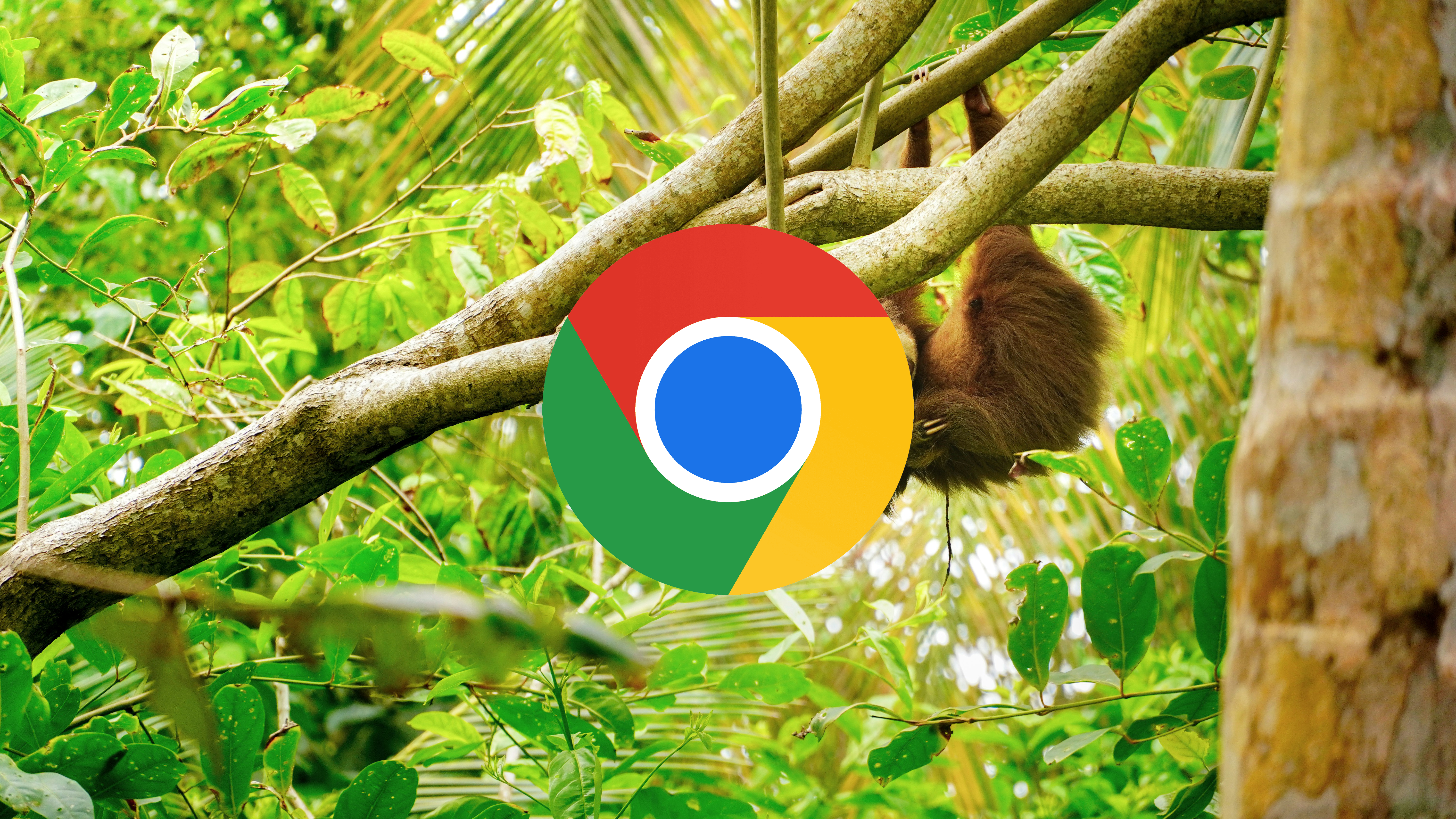 Door deze extensie is Google Chrome waarschijnlijk traag