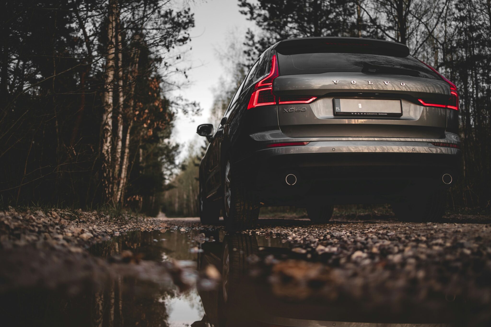 Google lijkt een nieuwe kleurrijke verandering naar Android Auto te brengen. Net nu het bijna Kerst is.